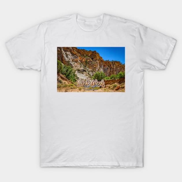 Lick Wash Trail Hike T-Shirt by Gestalt Imagery